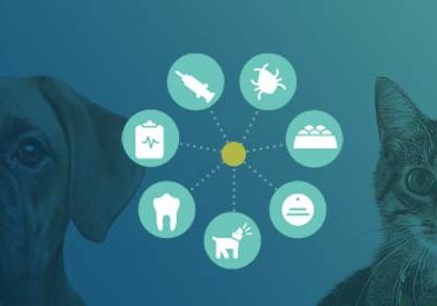 dog and cat overlaid with icons representing preventive care concepts